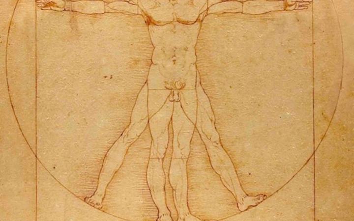 Detalle del Hombre de Vitruvio de Leonardo da Vinci: el torso y los brazos inscritos en el círculo.